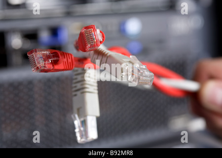 patchcord, network, communication, connection, wire, twisted pair cable, IT, information technology, server, client, hardware, b Stock Photo