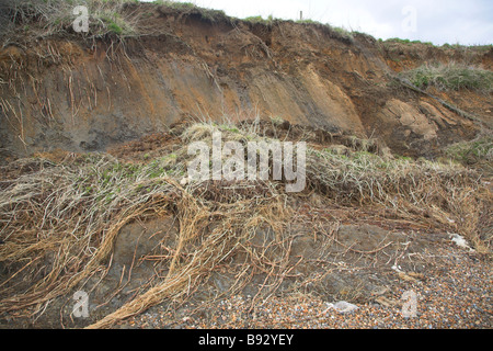 Coastal erosion soft cliffs Bawdsey Suffolk coast Stock Photo