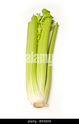 celery bunch isolated on a white studio background, Stock Photo