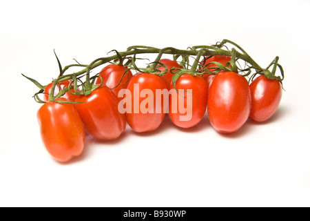 Italian Marzinino vine tomatoes isolated on a white studio background Stock Photo