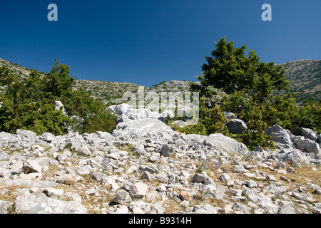 Croatia,Biokovo National Park,view on top of Sv. Jure mountain Stock Photo