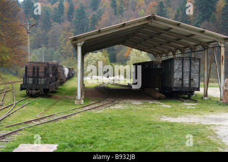 narrow gauge railway museum in Cisna, Bieszczady, South eastern Poland Stock Photo