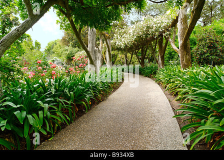 Beautiful walkway towards a lush garden. Stock Photo