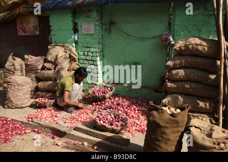 A vegetable seller peels red onions at Nehru Market in New Delhi, India. Stock Photo