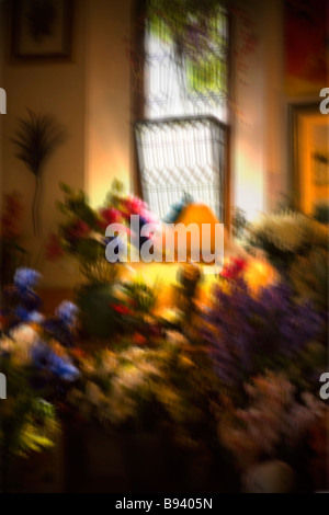 Indoor market selling silk flowers. Dorset. UK. Abstract. Blur. Stock Photo