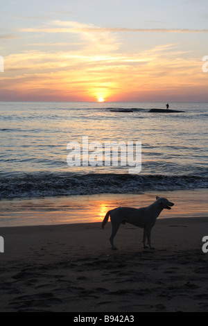 Sunset on Agonda beach Stock Photo