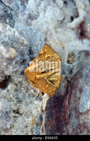 Native Gold on Quartz - Nevada - USA Stock Photo