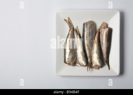Can of Surströmming is fermented Baltic sea herring often described as the  worst smelling food in the world Stock Photo - Alamy