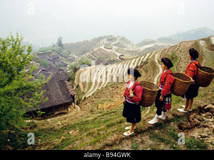 Red Yao nationality women in Longsheng County overlooking rice terraces of Longji at Ping'an village in early spring Stock Photo