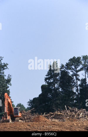 Environmental destruction, logging operations and cut trees, land clearing, development Stock Photo