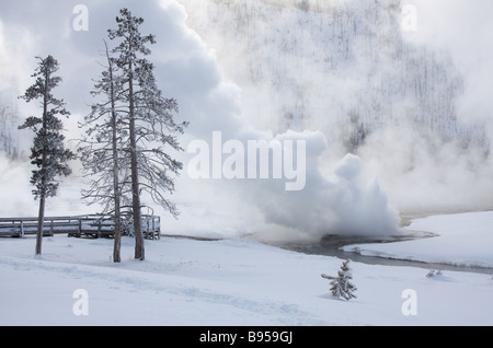 Cliff Geyser erupting on a snowy day, Black Sand Basin, Yellowstone National Park Stock Photo