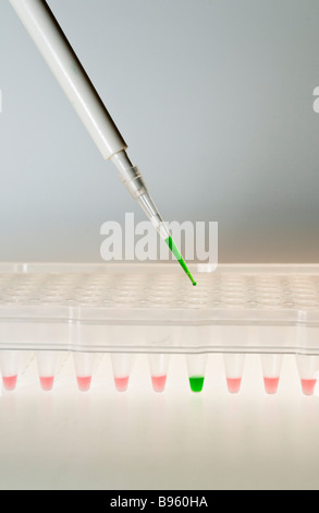 Enzyme Linked Immunosorbent Assay ELISA in a 96 well plate Stock Photo