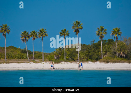 People walking on beach at Fort Desoto State Park in St Petersburg Florida Stock Photo