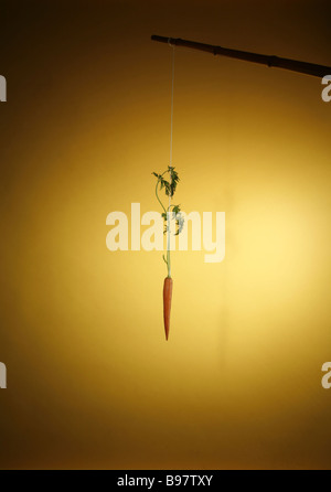 a carrot dangling from a stick. Stock Photo