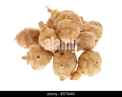 Fresh Ripe Healthy Harvested Raw Uncooked Jerusalem Artichokes Isolated Against A White Background With No People And A Clipping Path Stock Photo