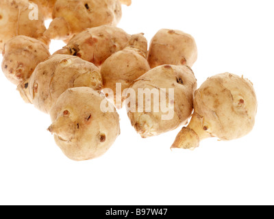 Fresh Ripe Healthy Harvested Raw Uncooked Jerusalem Artichokes Isolated Against A White Background With No People And A Clipping Path Stock Photo