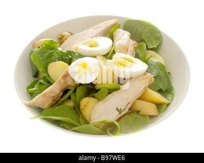 Chicken and Spinach Salad Stock Photo