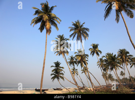 India Goa Colva beach coconut palm grove fishing boats Stock Photo