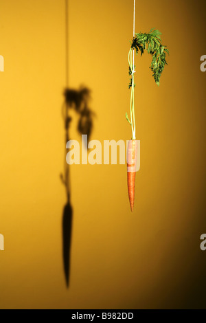 a dangling carrot and it's shadow Stock Photo