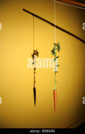 dangling a carrot on a stick Stock Photo