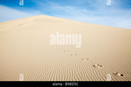 Footsteps ascending sand dune, Eureka Dunes, Death Valley National Park. Stock Photo