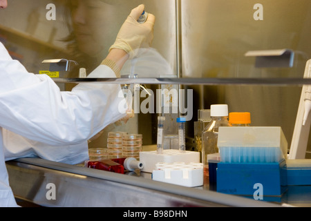 Woman, female working in laboratory Stock Photo
