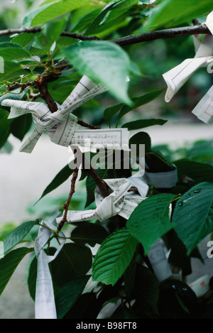 Omikuji or fortune papers tied to branches Stock Photo