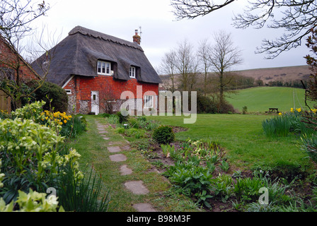 Spring flowers lead into a garden of a classic thatched cottage Stock Photo