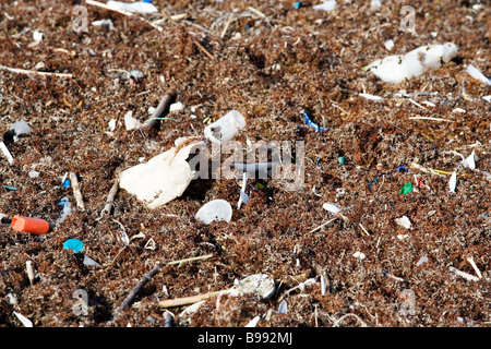 Trash and pollution is blown onto the beaches from the Gulf of Mexico. Stock Photo