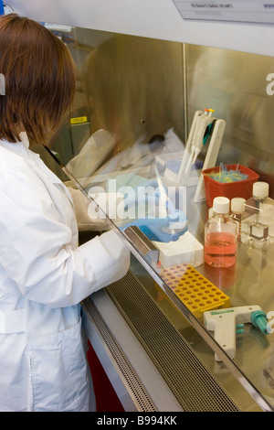 Woman, female working in laboratory Stock Photo
