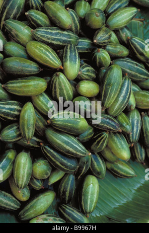 Pile of ripe tindora (Coccinia grandis) Stock Photo