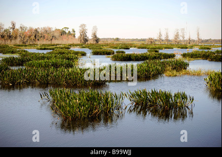 Circle B Bar Reserve Environmental Nature Center Lakeland Florida Polk County U S Stock Photo