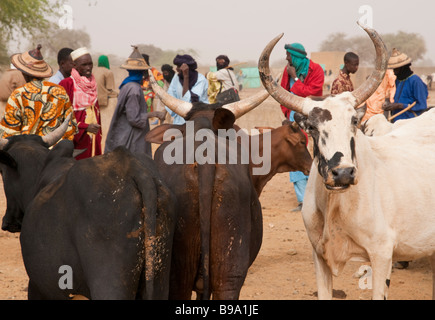 Western Africa Sahel Burkina Fasso Gorom Gorom One of the largest Weekly market in Sahel Stock Photo