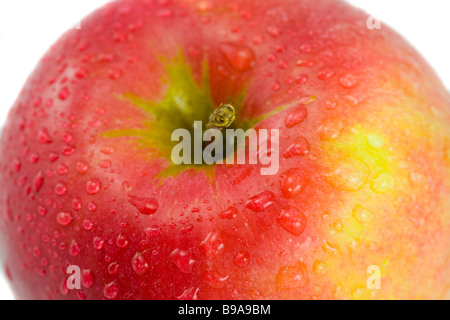 the red apple with water drops on white background Stock Photo