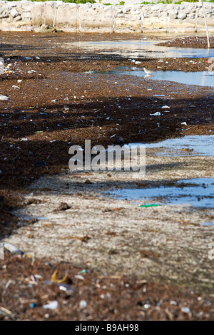 Trash and pollution is blown onto the beaches from the Gulf of Mexico. Stock Photo