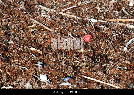 Trash and pollution is blown onto the beaches from the Gulf of Mexico. Stock Photo