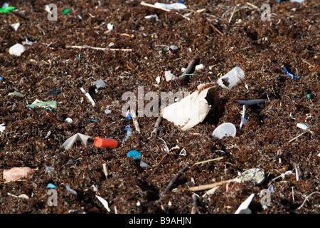 Trash and pollution is blown onto the beaches from the Gulf of Mexico. Stock Photo