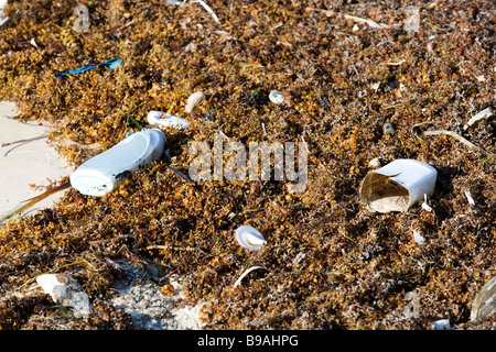 Trash and pollution is blown onto the beaches from the Gulf of Mexico. Stock Photo