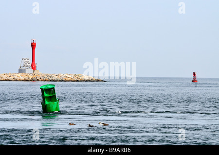 Navigational channel markers in ocean with a green can and a red solar ...