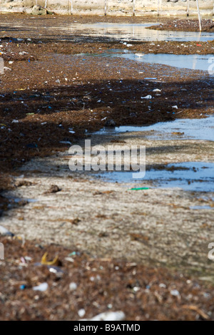 Trash and pollution is blown onto the beaches from the Gulf of Mexico. Stock Photo