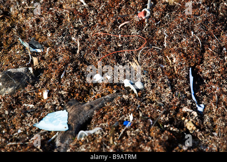 Trash and pollution is blown onto the beaches from the Gulf of Mexico. Stock Photo