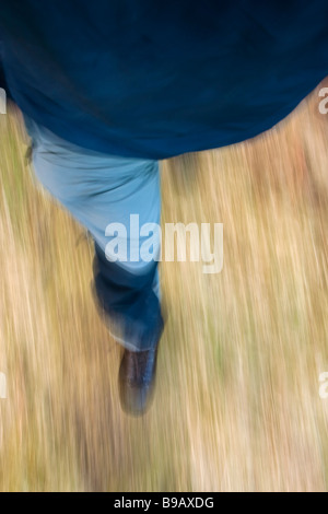 Action photo of the legs of a hiker walking in the Cheviots area of the Northumberland National Park, England Stock Photo