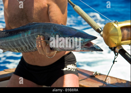 Big game fishing, fishernan shows wahoo catch Saint Gilles La Réunion France | Hochseeangeln, Wahoo Fang, La Réunion, Frankreich Stock Photo