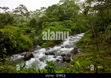 A river running through the rain-forest around Lake Arenal, Costa Rica. Stock Photo