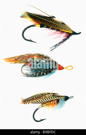 A display of Fly tying Materials for Flyfishing SCO 11,690 Stock Photo -  Alamy