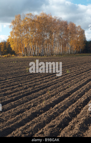 Plowed field, polish farm Poland Stock Photo