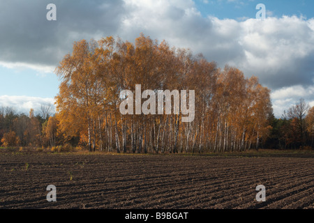 Plowed field, polish farm Poland Stock Photo