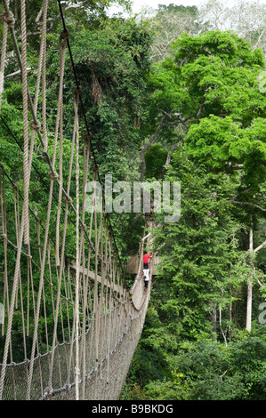 Canopy Walkway Rope Bridge at the Kakum National Park near Cape Coast ...