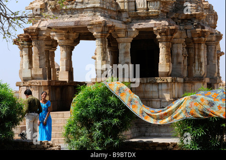 Langur monkey's in Chittaurgarh Fort Stock Photo