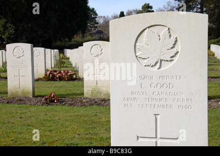 Canadian headstones in the Brookwood Military Cemetery, Woking. Stock Photo
